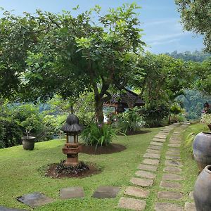 Villa Patria